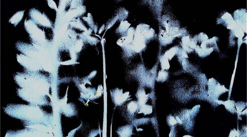 Little Known - Headwreck