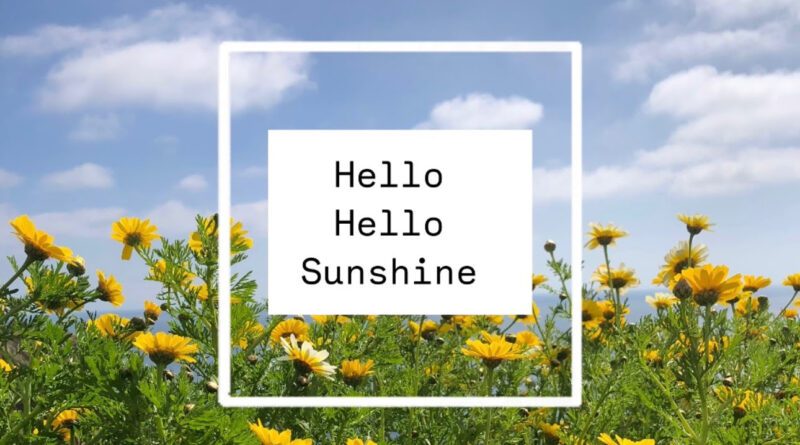 Ro Malone - Hello Hello Sunshine