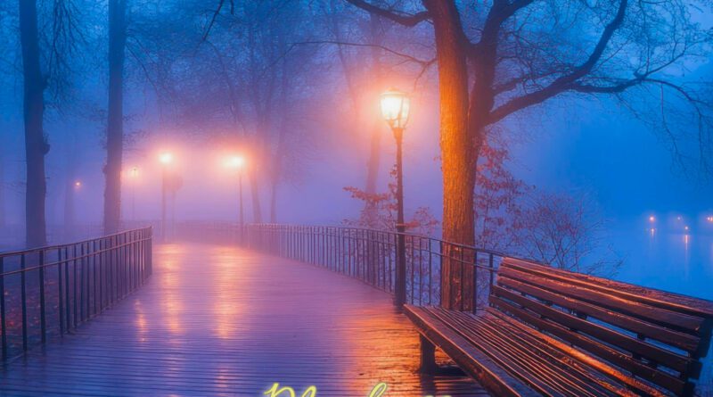 Zachary Mason - Madness Gladness