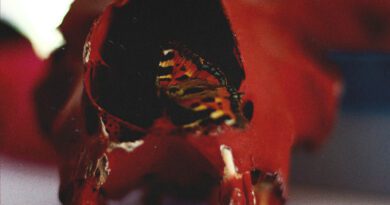 Bannered Mare - Hip Shot