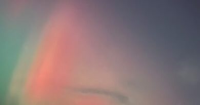 Laura Dannan - Lullaby