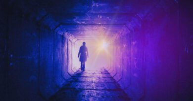 The Domi - Shining Far Away