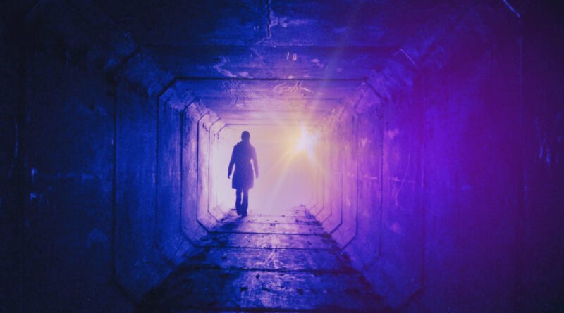 The Domi - Shining Far Away