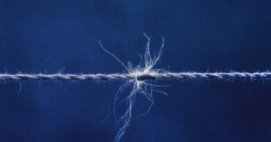 Ben Aubergine - Spoke For What I Knew