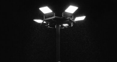 Fragile Animals - Tourist EP