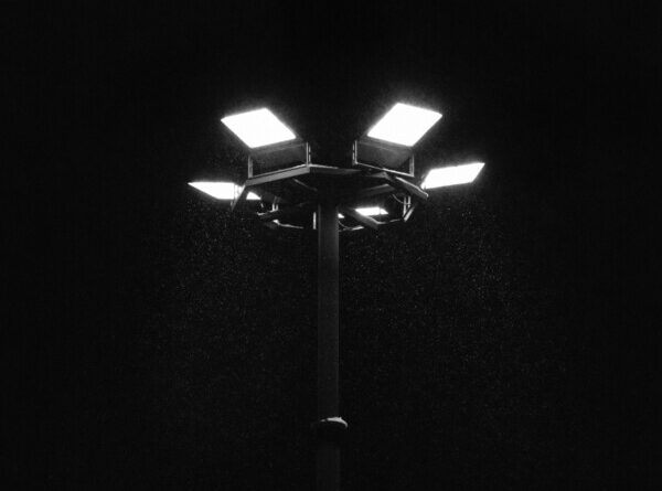 Fragile Animals - Tourist EP