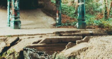 Kwyjibo - Dark Again