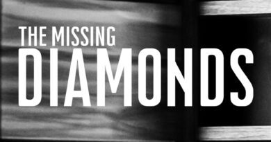 The Missing Diamonds - Little Wonder