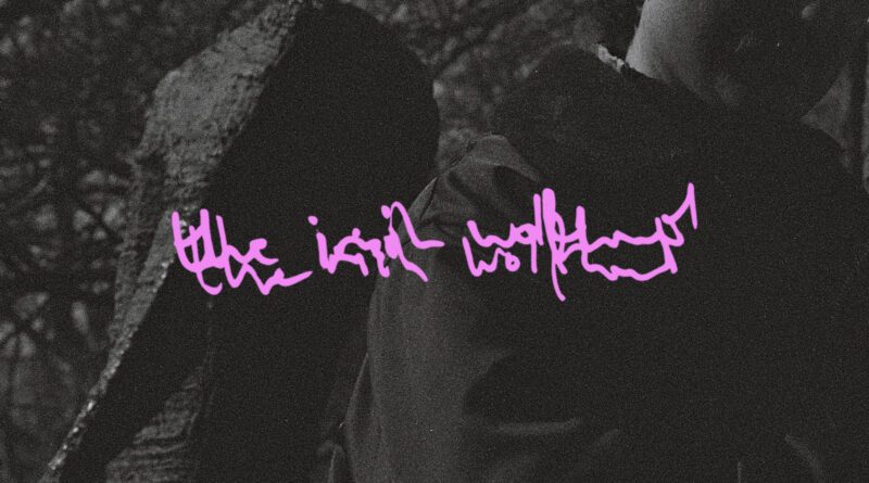 anamoe drive - the irish wolfhound