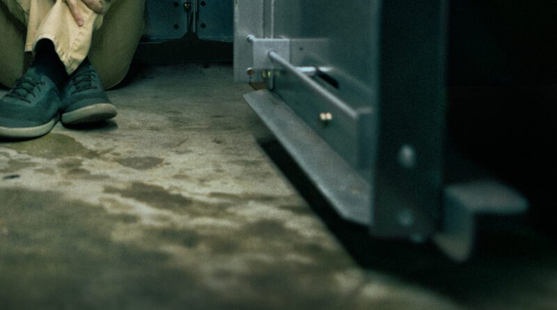 Seth Schaeffer - I Found A Monster