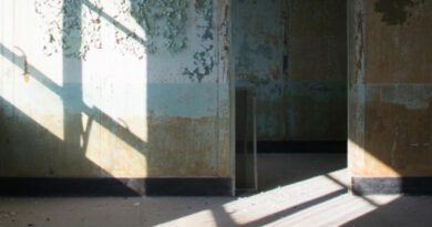 W.C. Beck - Bright Failure