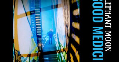 Elephant Moon - Good Medicine