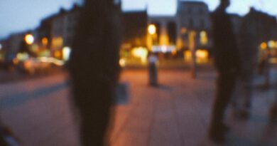 Halcyon Low - Clover