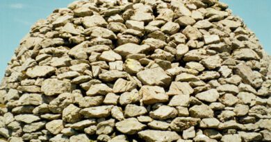 MOLETRAP - Mid Welsh, Pt 1 ARTWORK