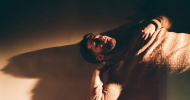 Michael Suddes - Dragonfly