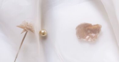 POLI NIKA - Summer's Falling