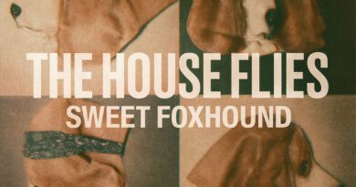 The House Flies - Sweet Foxhound