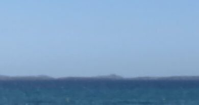 Wild Horse - Don't Wait