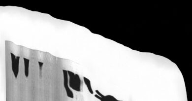 Caleb L'Etoile - Starling