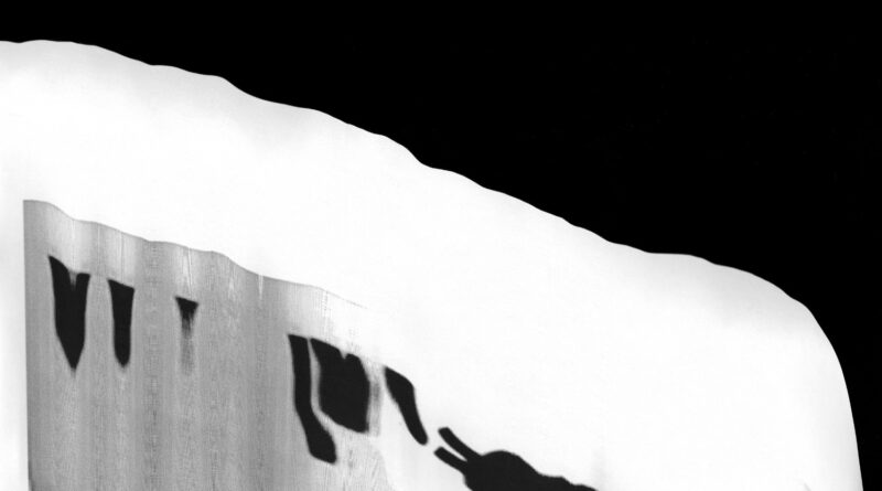 Caleb L'Etoile - Starling