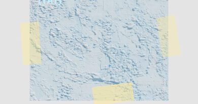 Frankie Alpha - Coma Toes (Yay)