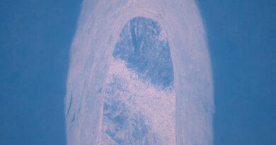 Gavin Fox - Mandolin Island