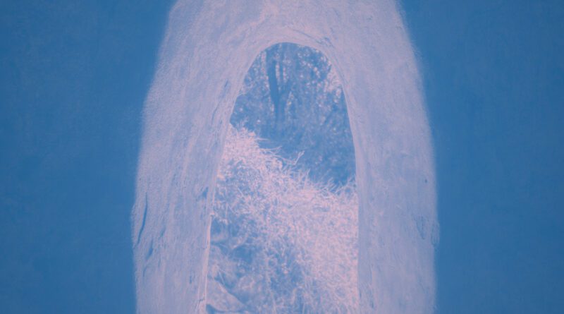 Gavin Fox - Mandolin Island