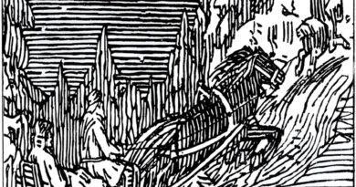 Hedmark - Deer Cross The River