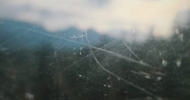 Lake of the Woods Artwork - The Far Field