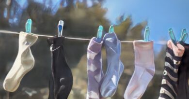 Laura Dannan - The Sock Song