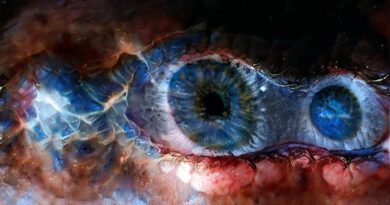 Rupert Träxler - The Journey