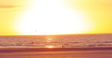 The Domi - Don't Give Up So Soon