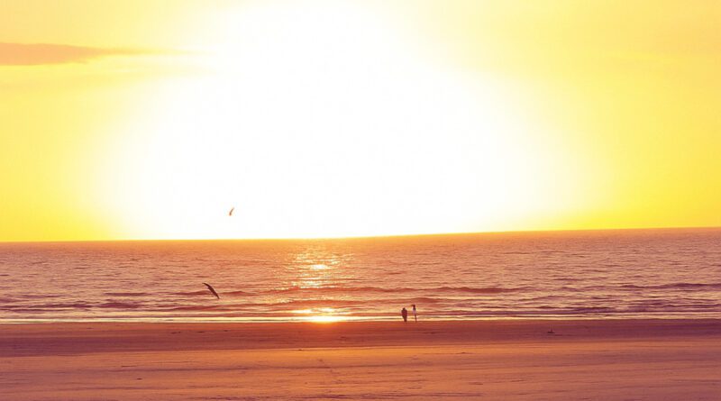 The Domi - Don't Give Up So Soon