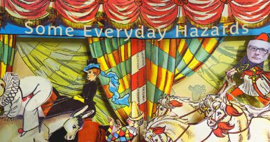 The Sunny Smiles Three - Some Everyday Hazards