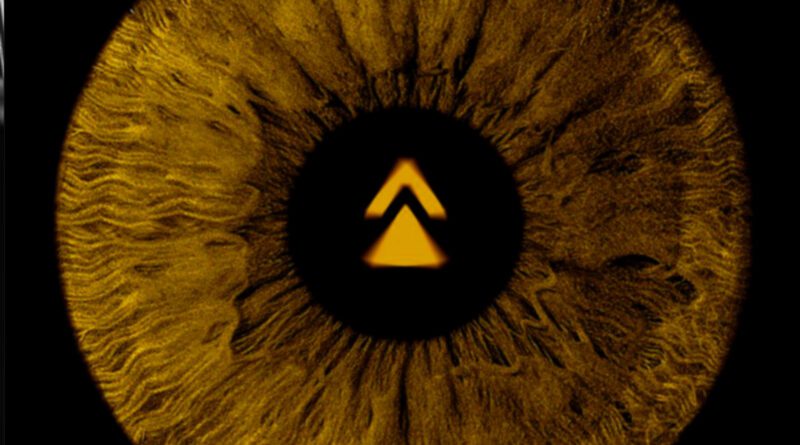 The Trusted - Levitate