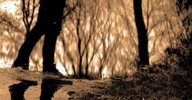 Every Other Weekend - Come Back When You Feel Like