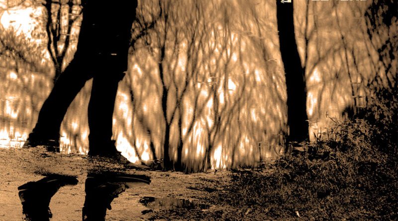 Every Other Weekend - Come Back When You Feel Like