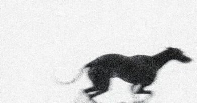 Feral Family - Down In The Dirt