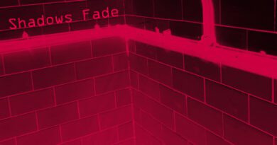 First Class Rebel - Shadows Fade copy