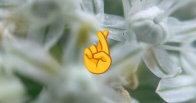 Hand Gestures - Justin's Funeral