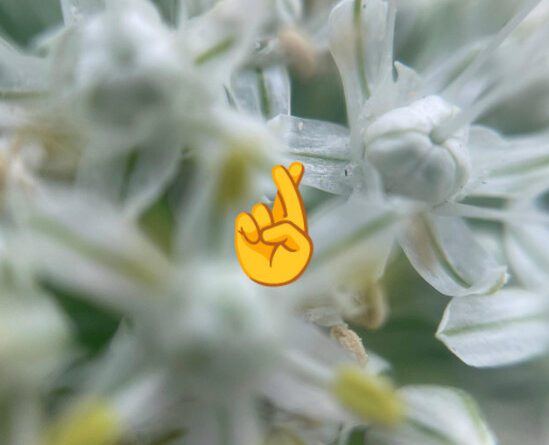 Hand Gestures - Justin's Funeral