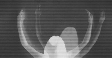 Julie's Haircut - Radiance Opposition