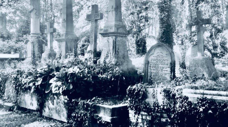 Tom Minor - Bring Back The Good Ol Boys