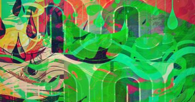 Ventrelles - It's In The Papers