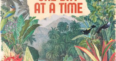 Silva Lining - One Day At A Time