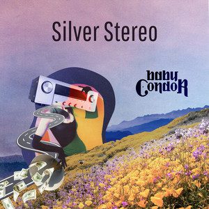 Baby Condor - Silver Stereo