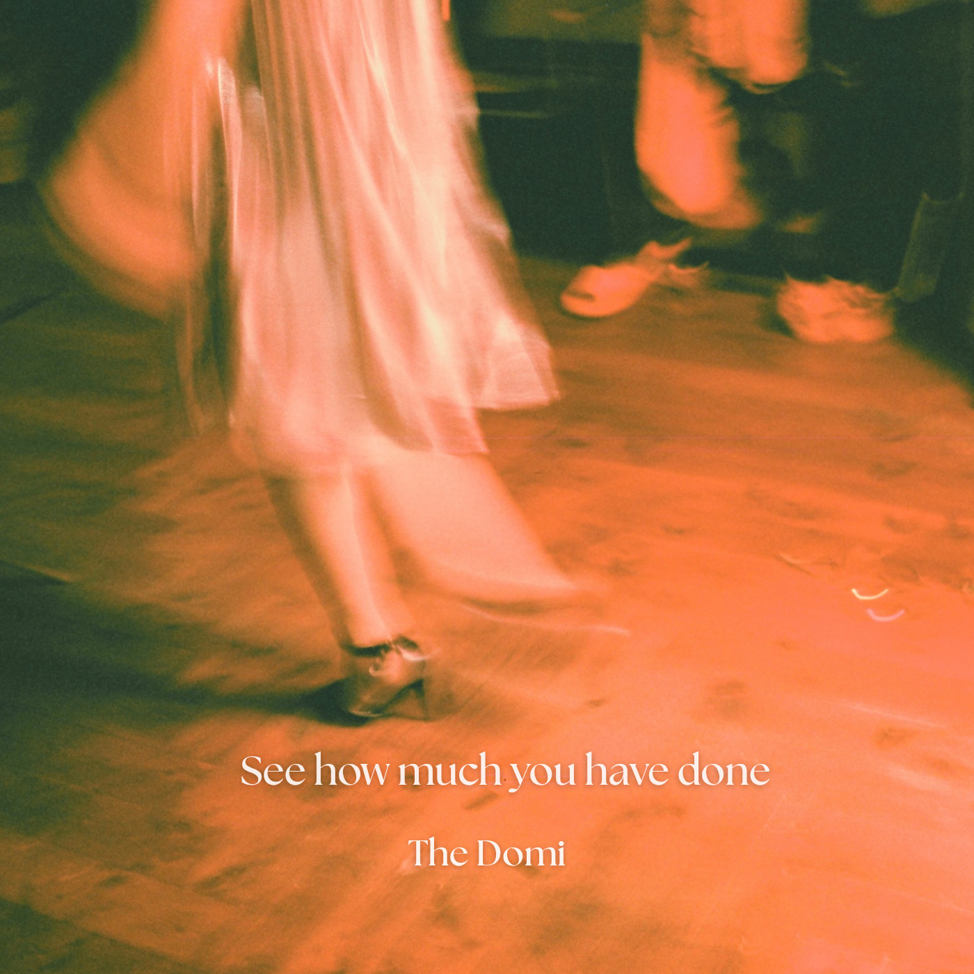 The Domi - See How Much You Have Done