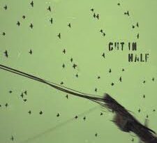 Bad Mothers Union - Cut In Half