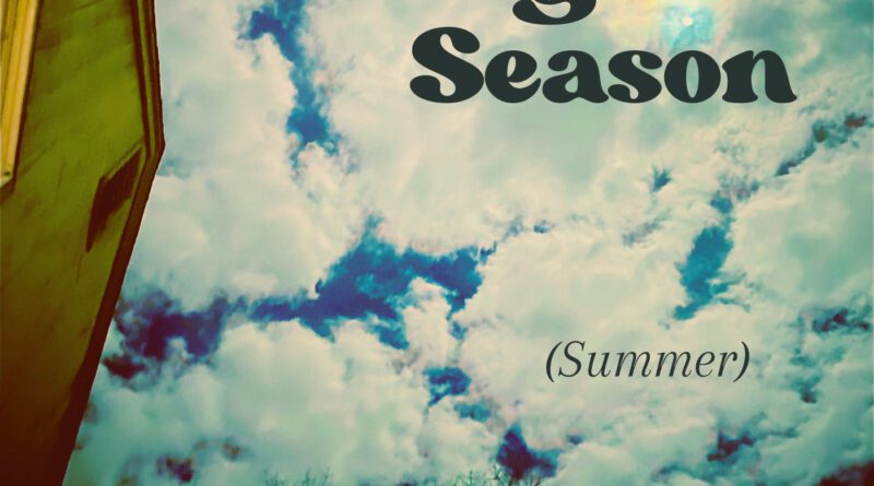 Big Cat Season - I'm in the Wrong