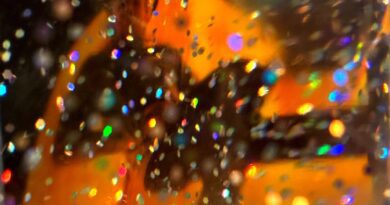 Matthew Spreen - Narcistasia